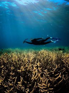 One Day Trip Gili Kondo Lombok | Snorkeling & Island Hopping