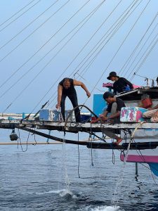 Paket Private One Day Trip Whale Shark Pulau Sumbawa | Lombok Fun Trip