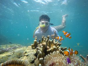 One Day Trip Pink Beach Lombok | Paket Wisata & Snorkeling – Lombok Fun Trip