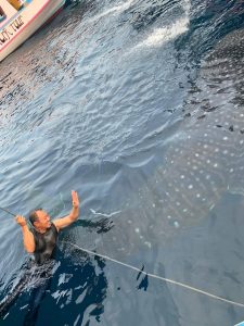 Paket Private One Day Trip Whale Shark Pulau Sumbawa | Lombok Fun Trip