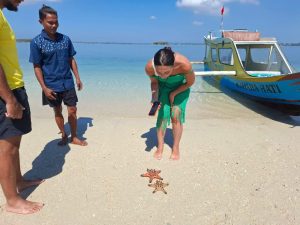 One Day Trip Lombok Snorkeling Pink Beach | Lombok Fun Trip