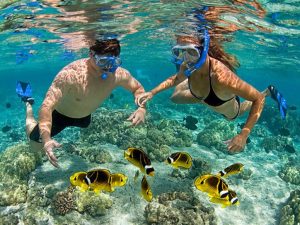 Paket Snorkeling Trip Lombok Terbaik