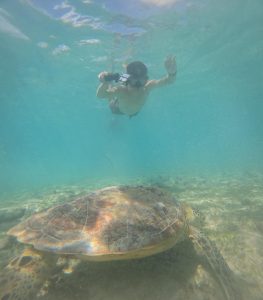 Snorkeling 3 Gili Lombok | Ttrip Gili Trawangan, Meno & Air