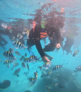 Snorkeling 3 Gili Lombok | Ttrip Gili Trawangan, Meno & Air