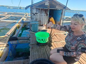 One Day Trip Pink Beach Lombok | Paket Wisata & Snorkeling – Lombok Fun Trip