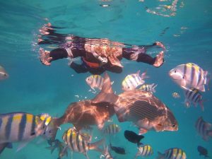 Lombok Trip 2 Hari 1 Malam – Explore Kuta Mandalika dan Pantai Pink Lombok