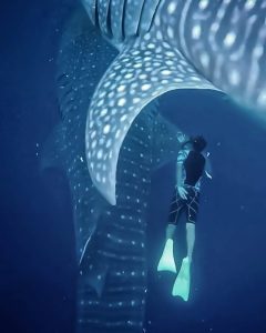 Paket 2 Hari 1 Malam Pulau Sumbawa | Lombok Fun Trip