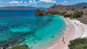 Pantai Pink Lombok Tour | Pink Beach Snorkeling & Island Hopping