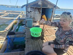 Pantai Pink Lombok Tour | Pink Beach Snorkeling & Island Hopping