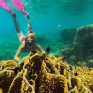 One Day Trip Gili Gede Lombok | Lombok Fun Trip