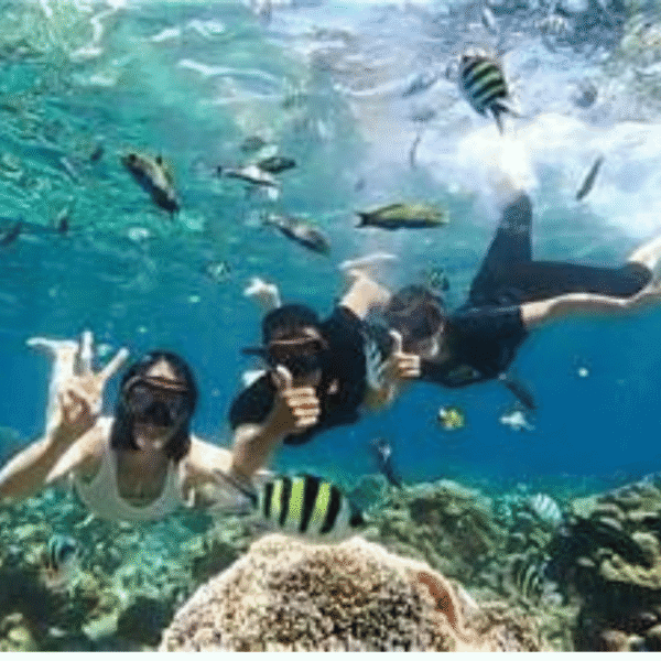 Paket Tour Lombok 5H4M Premium | Eksplorasi Mandalika, Sembalun & Gili Eksklusif