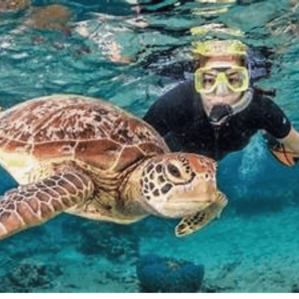Paket Tour Lombok 4 Hari 3 Malam Terlengkap | Mandalika & Gili