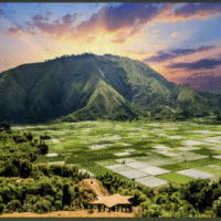 One Day Trip Sembalun Lombok: Agrowisata Stroberi & Bukit Selong