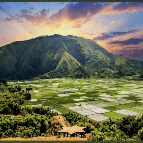 One Day Trip Sembalun Lombok: Agrowisata Stroberi & Bukit Selong