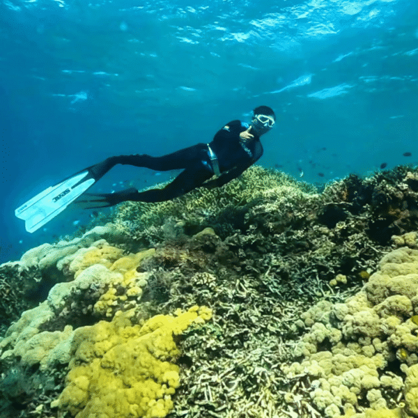 One Day Trip Lombok: Private Snorkeling Gili Kondo, Gili Bidara & Gili Petagan