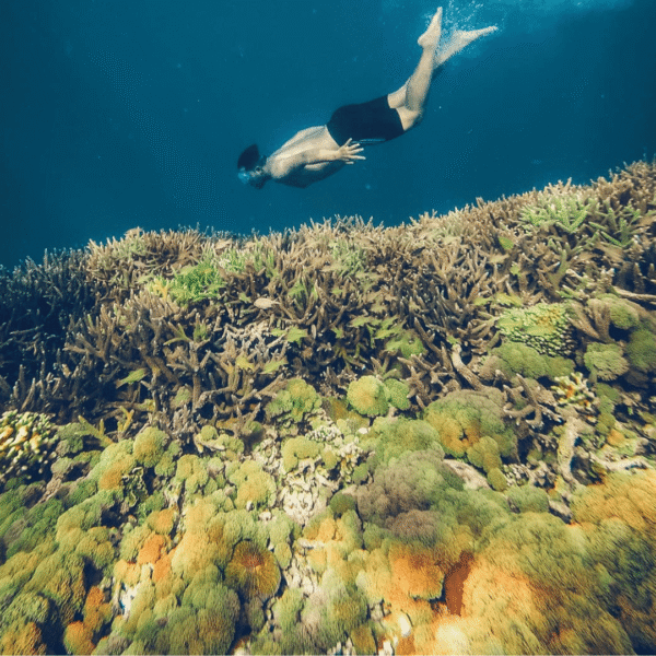One Day Trip Lombok: Private Snorkeling Gili Kondo, Gili Bidara & Gili Petagan