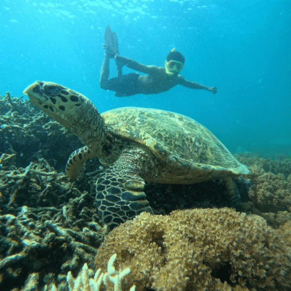 One Day Trip Lombok: Snorkeling 5 Gili Sekotong & Asahan