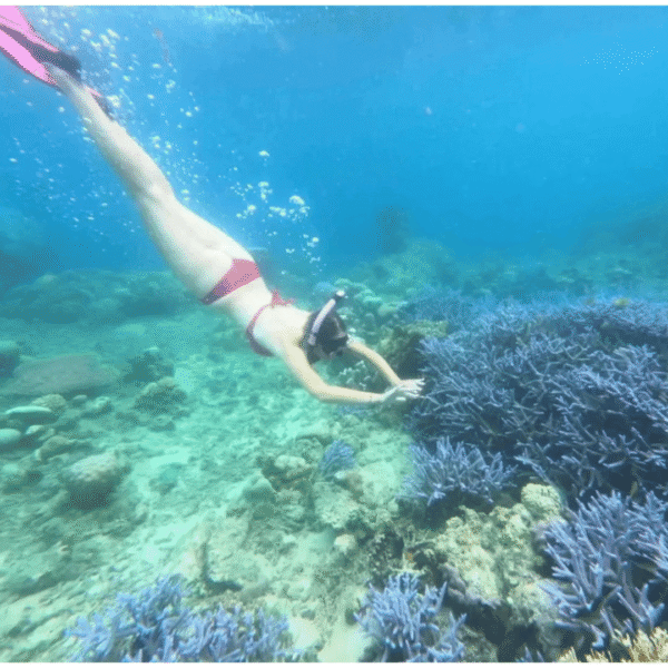 One Day Trip Lombok: Snorkeling 5 Gili Sekotong & Asahan