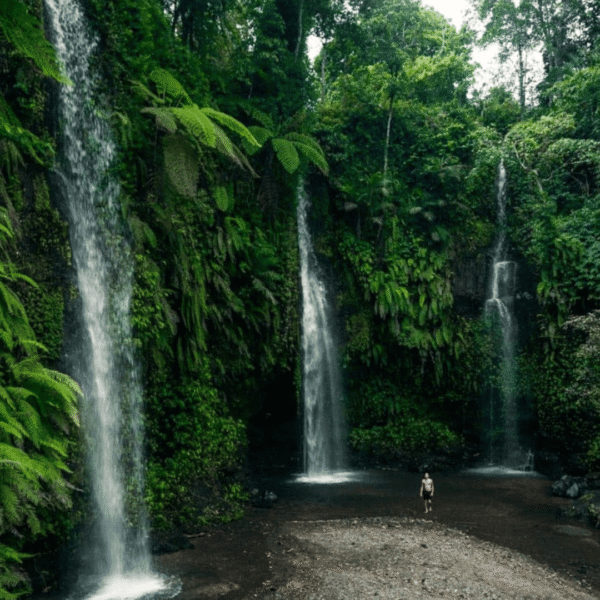Lombok Rafting Tour & Eksplorasi Air Terjun Benang Stokel & Kelambu