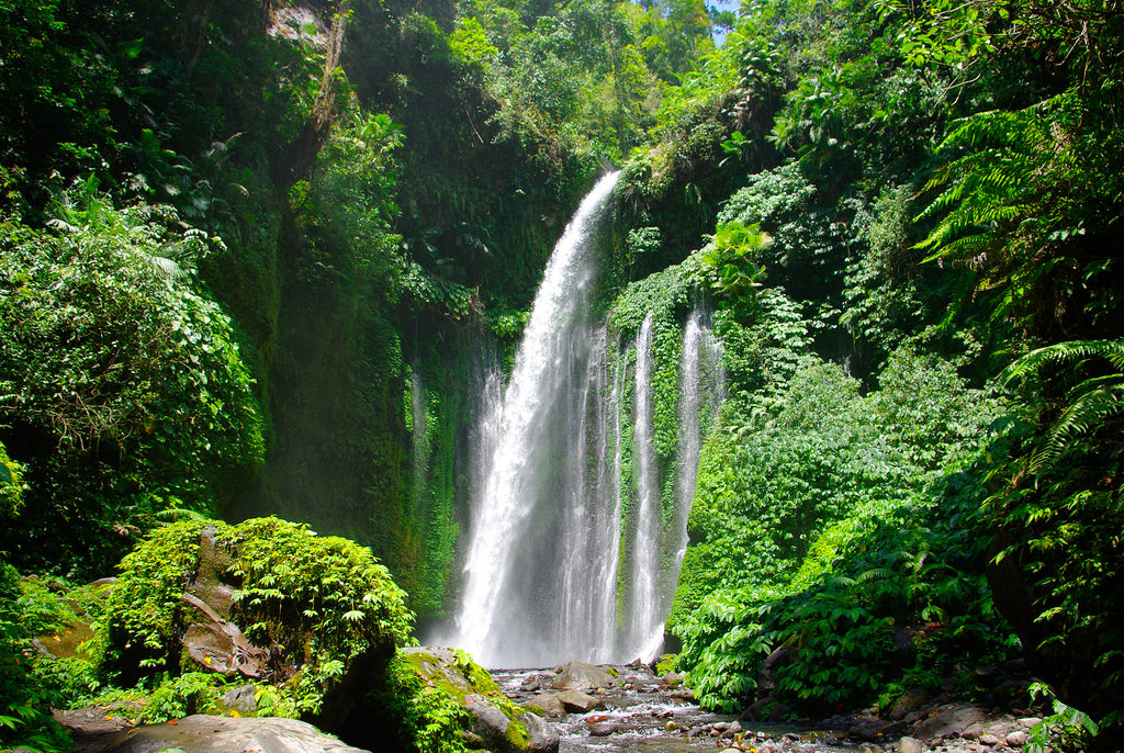 Paket Tour