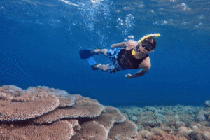 One Day Trip Lombok: Private Snorkeling Pantai Pink, Gili Petelu & Gili Pasir