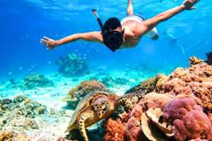 One Day Trip Lombok: Snorkeling 3 Gili Trawangan, Meno & Air