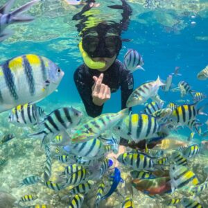 Paket Tour Lombok 2 Hari 1 Malam Premium Gili & Mandalika | Lombok Fun Trip