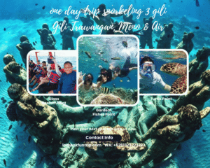 One Day Trip Lombok: Snorkeling 3 Gili Trawangan, Meno & Air
